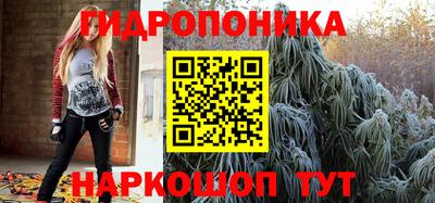 дмт Будённовск