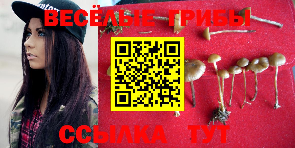 Усть-Джегута  Галлюциногенные грибы мухоморы  что такое наркотик  Вход с VPN  Галлюциногенные грибы прущие грибы 